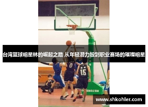 台湾篮球明星林的崛起之路 从年轻潜力股到职业赛场的璀璨明星
