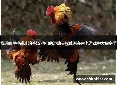 篮球明星挑战斗鸡赛场 他们的运动天赋能否在古老游戏中大展身手