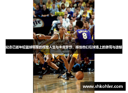 纪念已逝年轻篮球明星的辉煌人生与未竟梦想，感悟他们在球场上的激情与遗憾