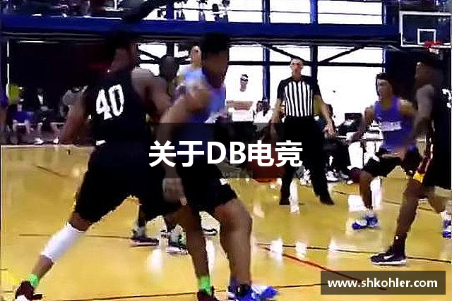 关于DB电竞